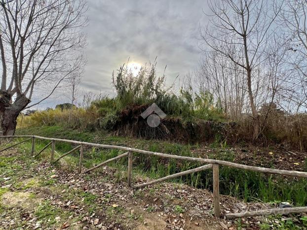 TER. AGRICOLO A TERRACINA