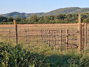 terreno agricolo