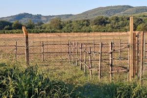 terreno agricolo