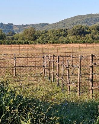 terreno agricolo