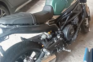 Benelli leoncino 800