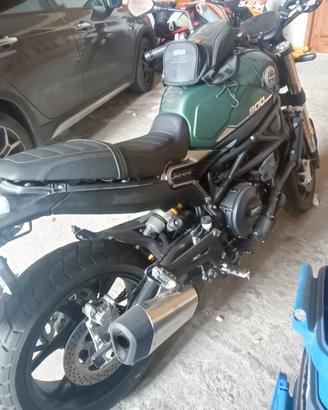 Benelli leoncino 800