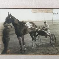N 2 fotografie ippica prime del ‘900