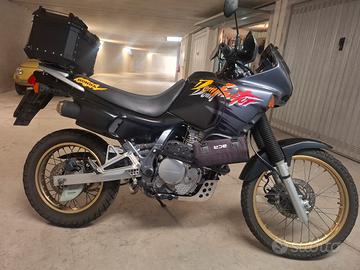 Honda Dominator 650