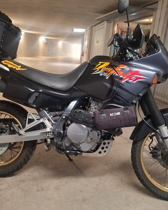 Honda Dominator 650