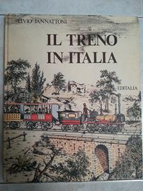 Il treno in Italia Jannattoni libro ferrovie