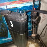 filtro acquario 