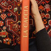 La caccia