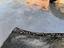 Immagine 16