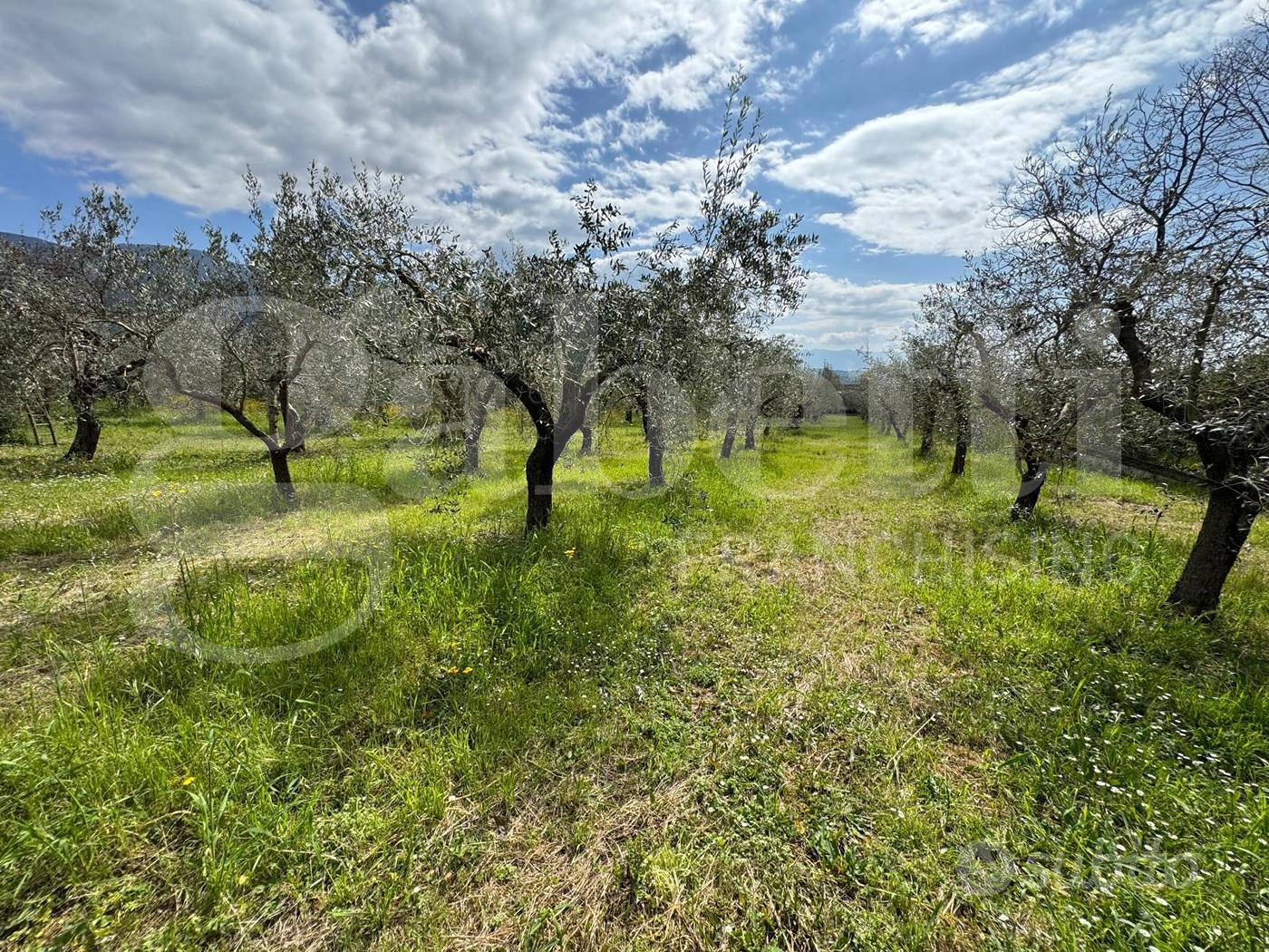 Rustico/Casale/Corte Piedimonte Matese - Vista 5