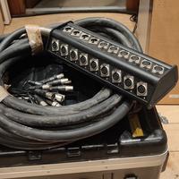 Frusta microfonica multicanale 24 in 4 out 15m