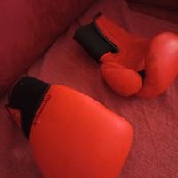 guanti da boxe