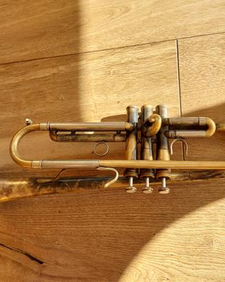 Tromba professionale Ripamonti