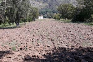 Terreno agricolo 4897 mq - bellona