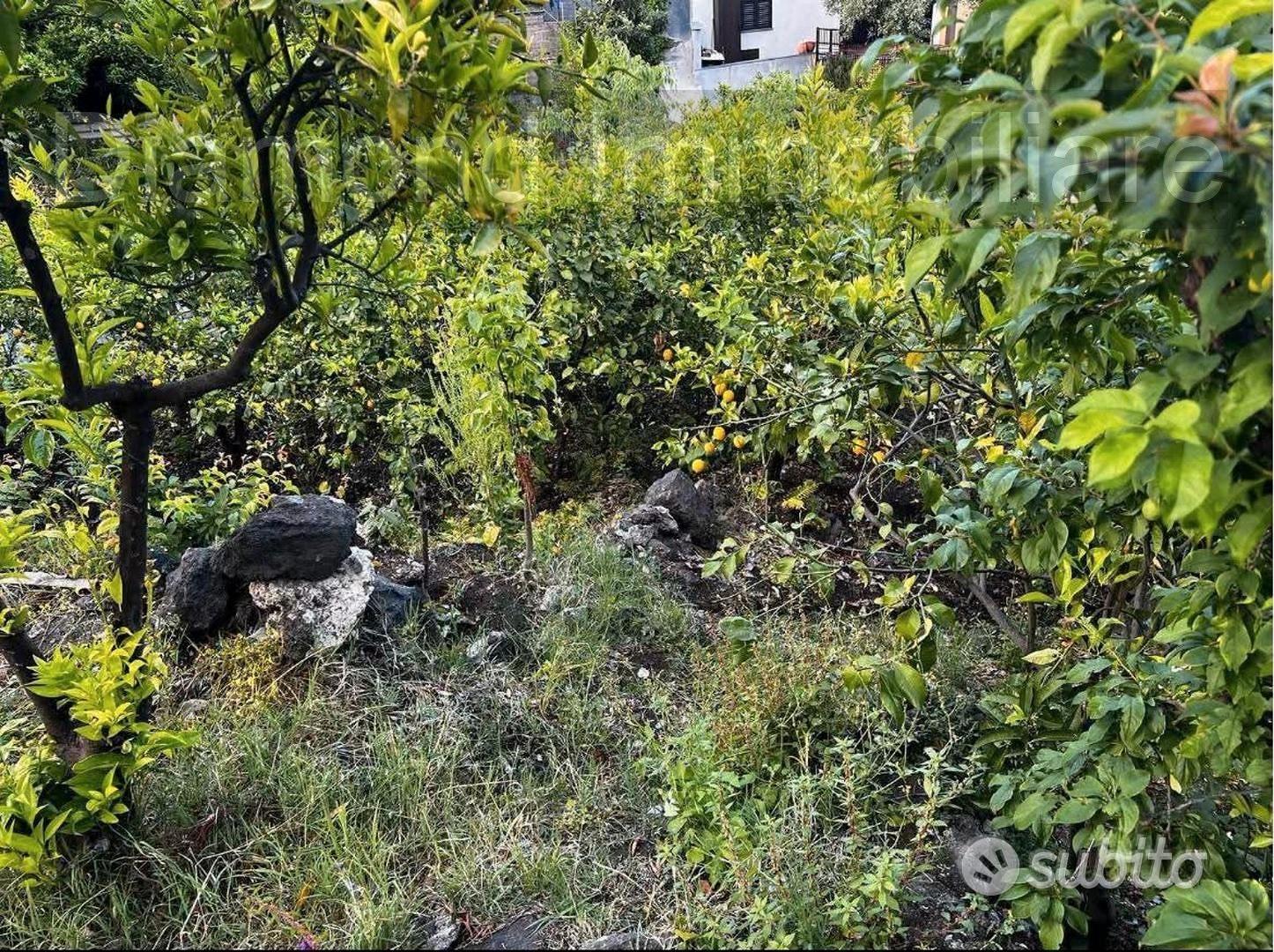 Terreno edificabile con rudere a Macchia di Giarre - Vista 3