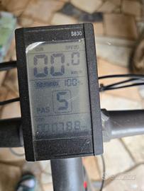 Bicicletta elektrica