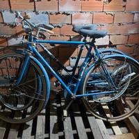 biciclette wolsit coppia uomo e donna