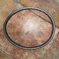 cinghia Honda sh 125 2020-2024 originale