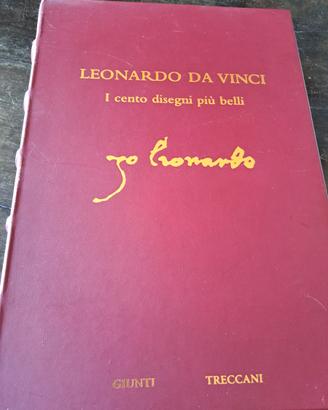 Io Leonardo