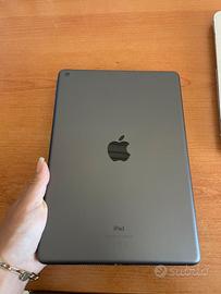 iPad apple