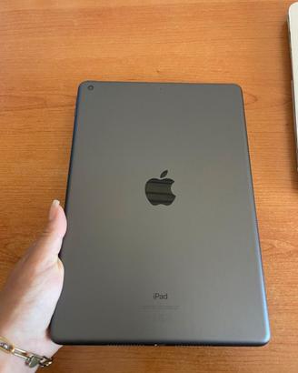 iPad apple