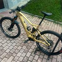 Orbea wild fs m10 custom