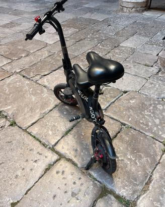 Bici elettrica