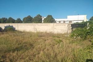 Terreno agricolo a Novoli