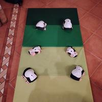 protezione per pattinaggio 