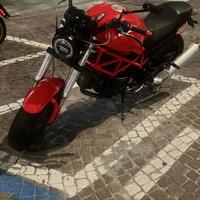 Ducati monster