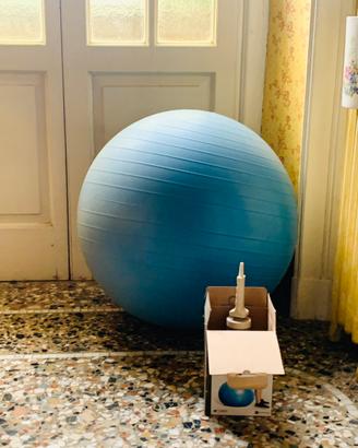 Palla da Pilates + pompetta