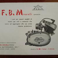 F.B.Minarelli  motori E.48, 6.V, P.3, P.75, S.125
