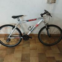 bicicletta MTB bianchi