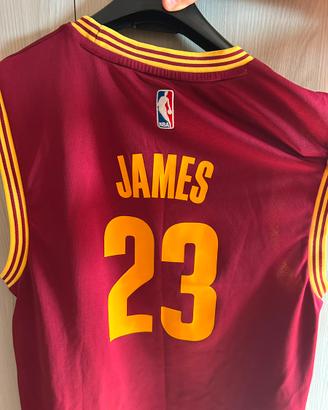 Canotta basket Lebron