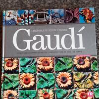 Gaudi' libro d'arte edizione in francese Dosdearte