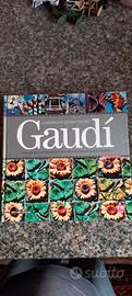 Gaudi' libro d'arte edizione in francese Dosdearte