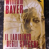 il labirinto degli specchi