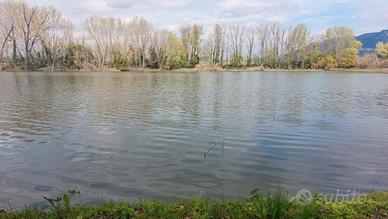 Ristorante- Pizzeria