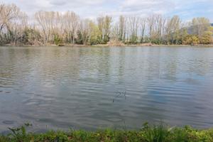 Ristorante- Pizzeria