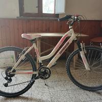 Bici Lombardo Primavera 