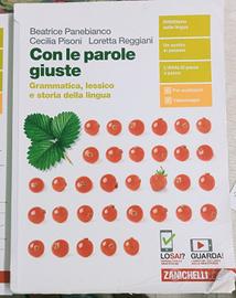 con le parole giuste 