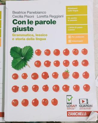 con le parole giuste 