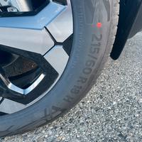 Gomme estive continental