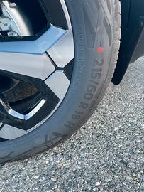 Gomme estive continental