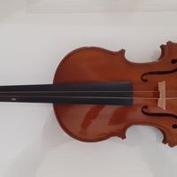 violino