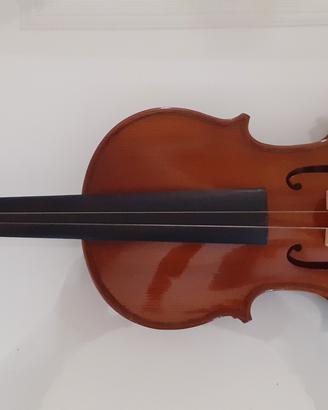 violino