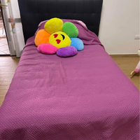 Letto una piazza e mezza