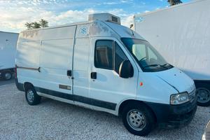 FIAT DUCATO 2.3 110 CV ISOTERMICO FRIGORIFERO L2H2