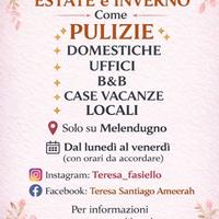 Pulizie domestiche e locali