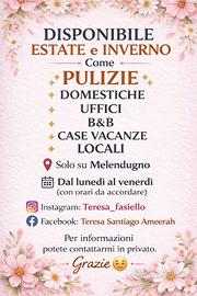 Pulizie domestiche e locali